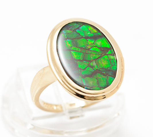 10K Yellow Gold & Canadian Ammolite Ring by Korite Large Oval Cabochon Size M1/2 (A2080)