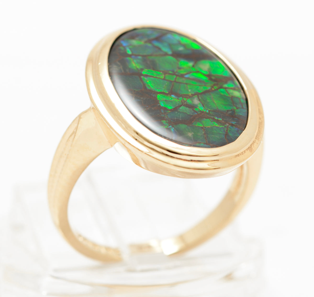 10K Yellow Gold & Canadian Ammolite Ring by Korite Large Oval Cabochon Size M1/2 (A2080)