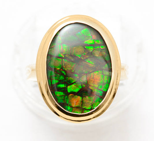10K Yellow Gold & Canadian Ammolite Ring by Korite Large Oval Cabochon Size M1/2 (A2080)
