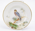 Antique Royal Worcester Cabinet Plate - Hand Painted Merlin Bird
