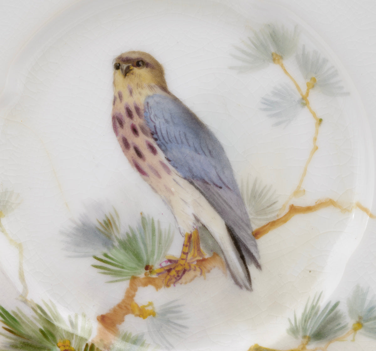 Antique Royal Worcester Cabinet Plate - Hand Painted Merlin Bird - William Powell - 1912 - 3237