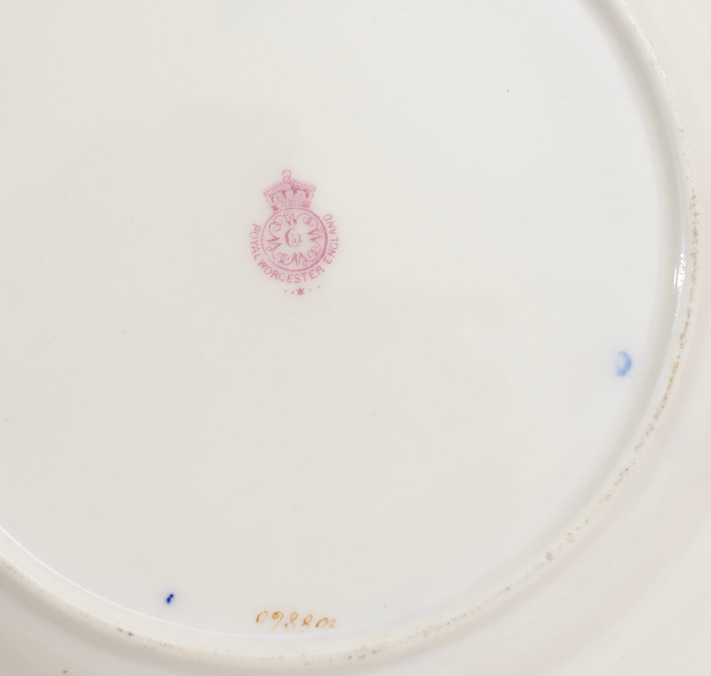 Antique Royal Worcester Hand Painted Fruit Cabinet Plate by Seabright (3291)