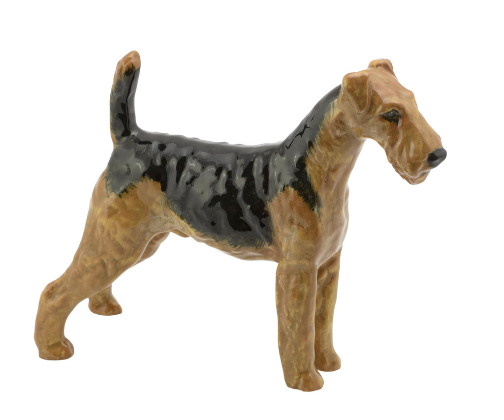 Royal Doulton Airedale Terrier HN1024 Ch. Cotsford Topsail figure - three quarter front view showing tan and black hand decoration and moulded wiry coat detail