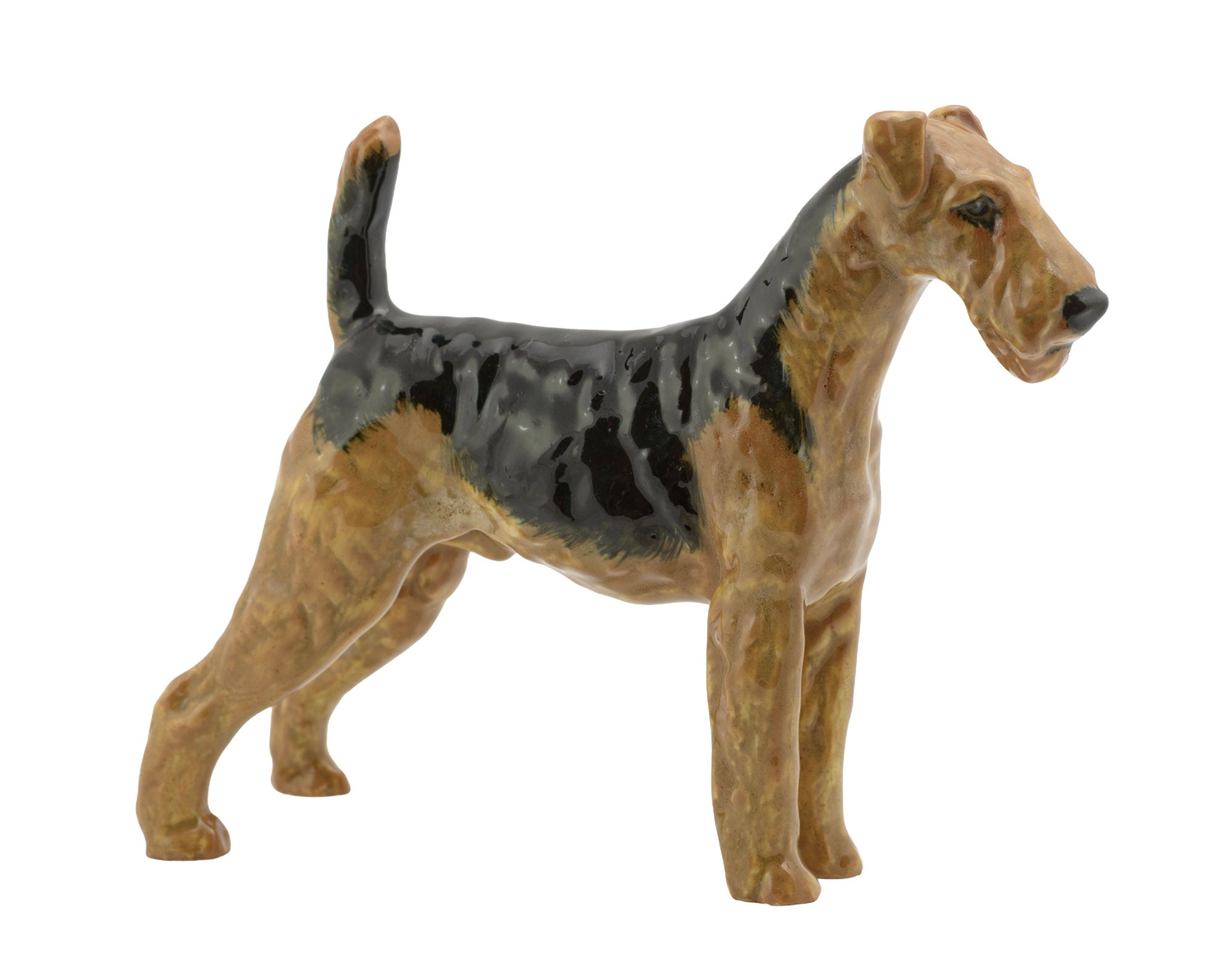 Royal Doulton Airedale Terrier HN1024 figure - left side profile showing full body stance with raised tail and black saddle markings