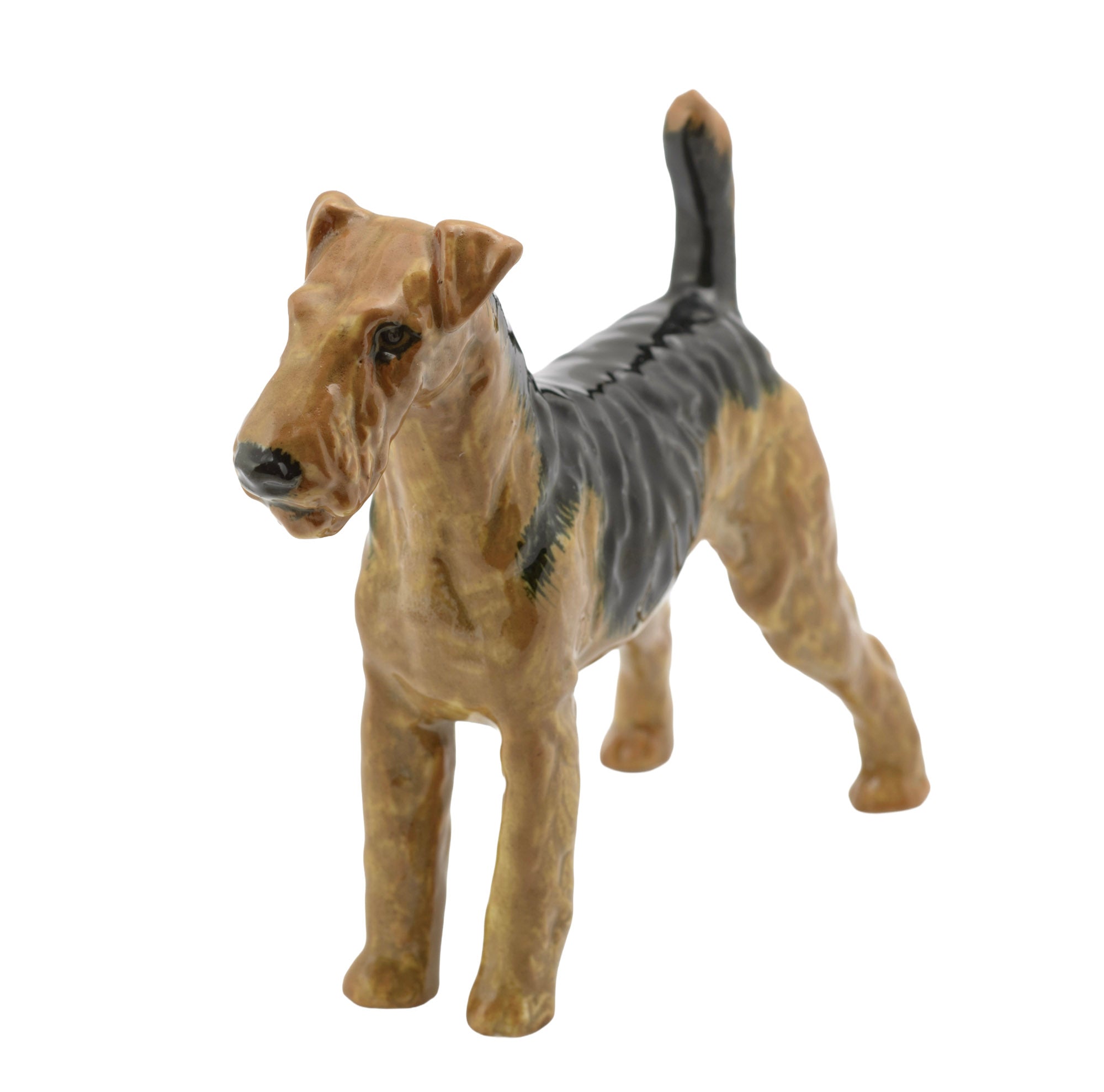 Royal Doulton Airedale Terrier HN1024 figure - rear view showing raised tail and full coat markings