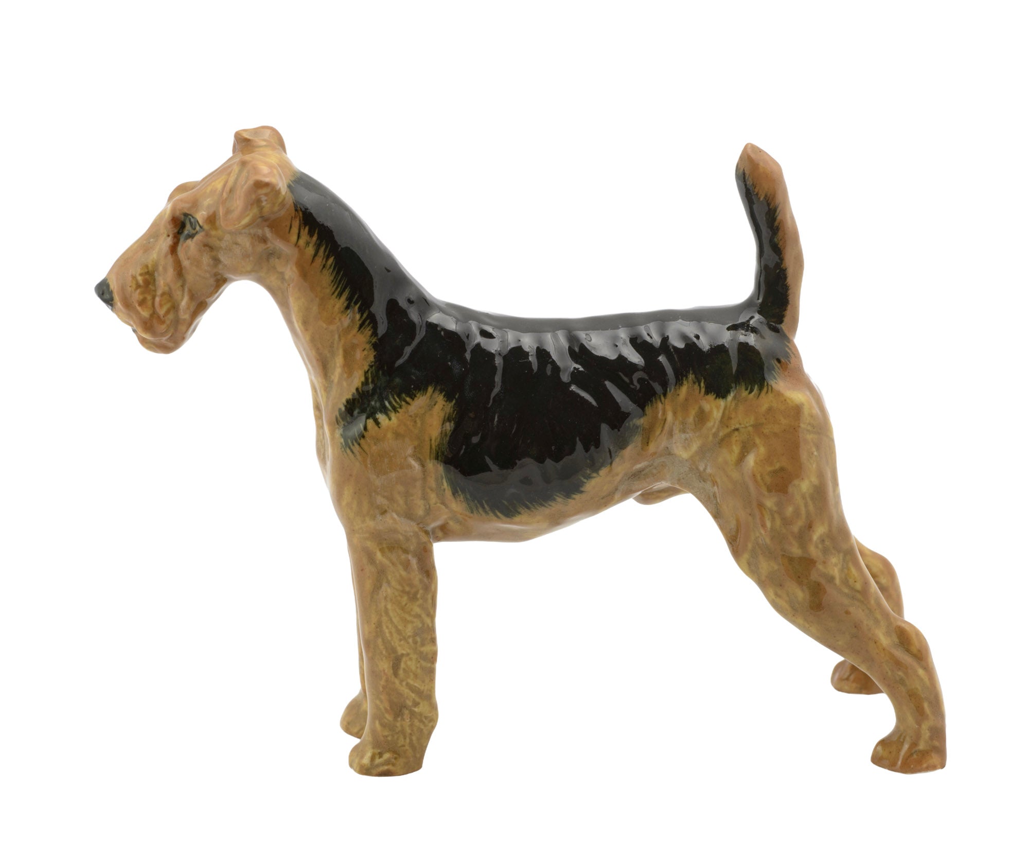Royal Doulton Airedale Terrier HN1024 figure - right side profile showing alert standing pose and moulded coat texture