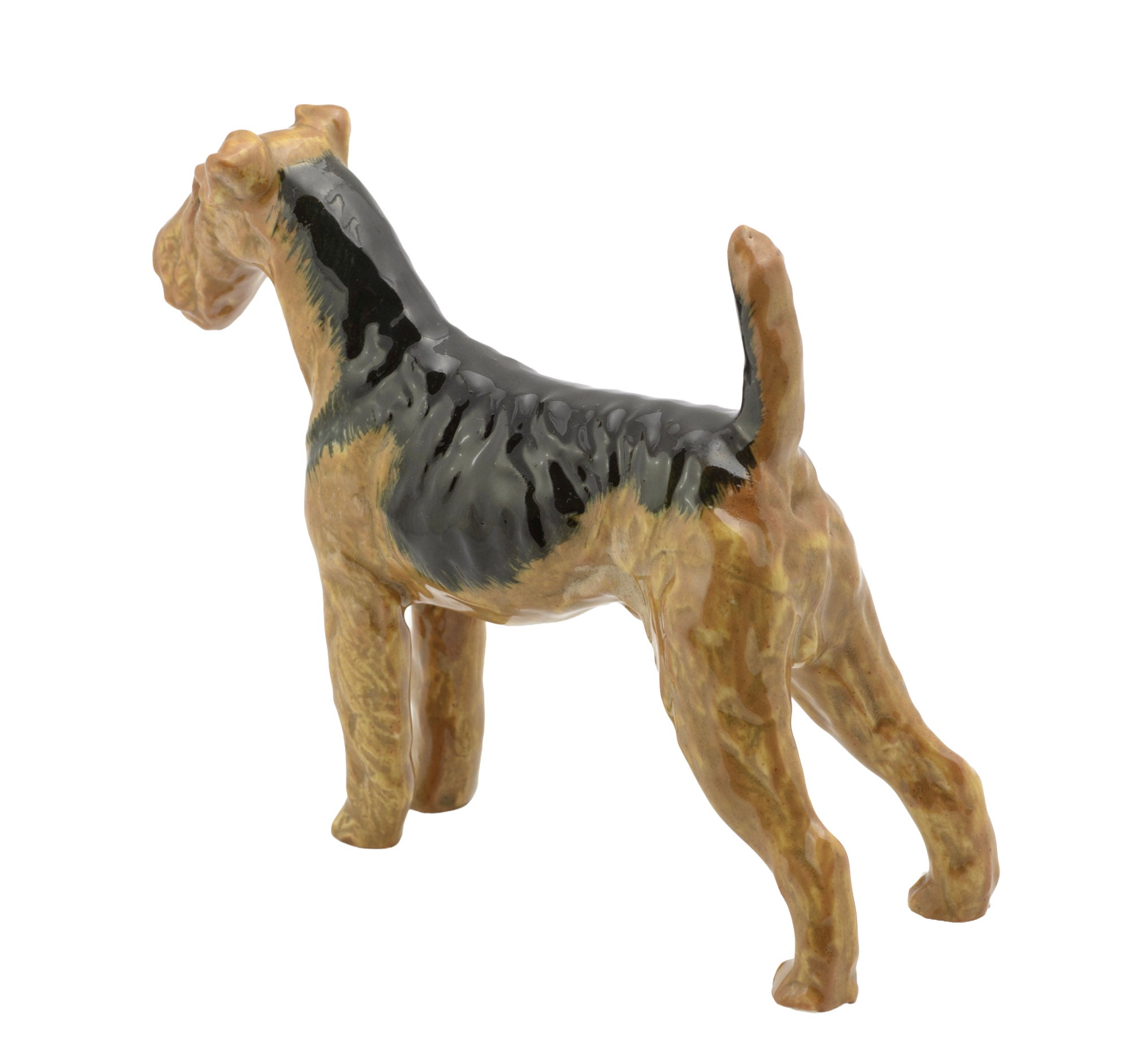 Royal Doulton Airedale Terrier HN1024 figure - close up of head showing moulded beard, facial features and tan colouring