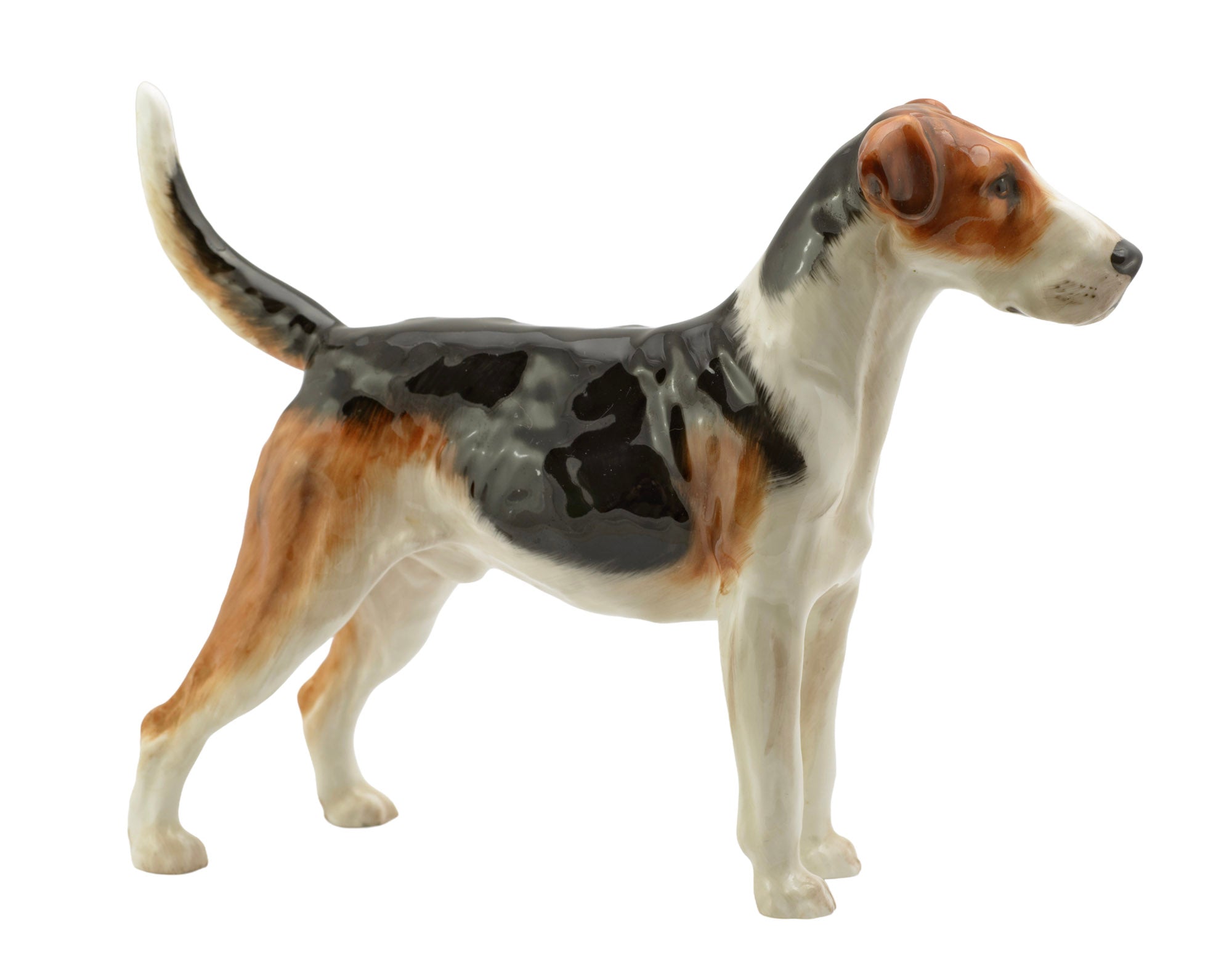 Royal Doulton English Foxhound HN1026 Ch. Tring Rattler figure - three quarter front view showing white, black and russet coat decoration