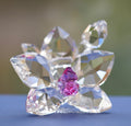 Genuine Swarovski Crystal Glass Orchid Blossom Flower Figure 864464 (B2527B)