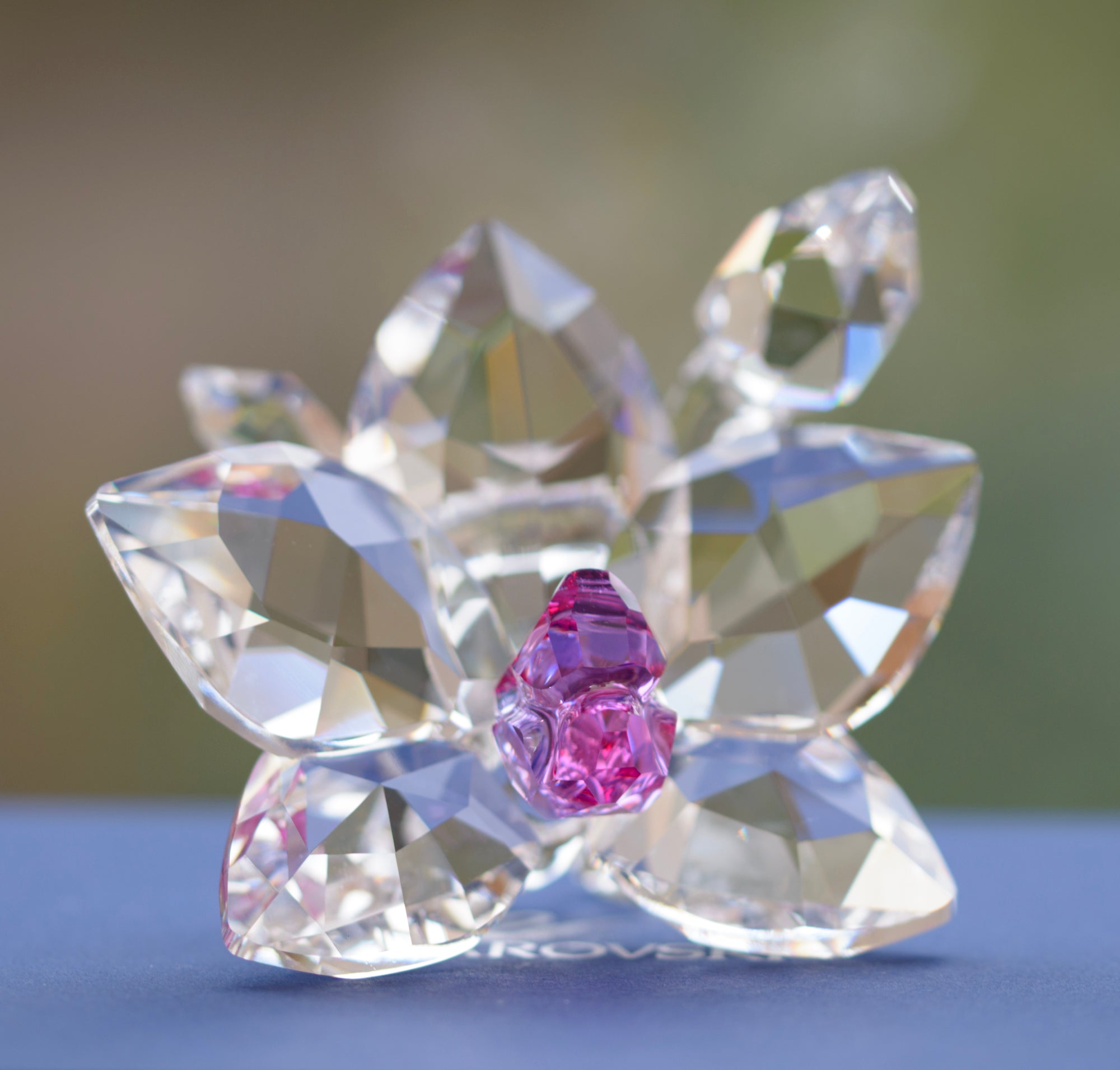 Genuine Swarovski Crystal Glass Orchid Blossom Flower Figure 864464 (B2527B)