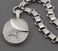 Antique Victorian Sterling Silver Book Chain & Locket Aesthetic Period c.1880 (B2659)