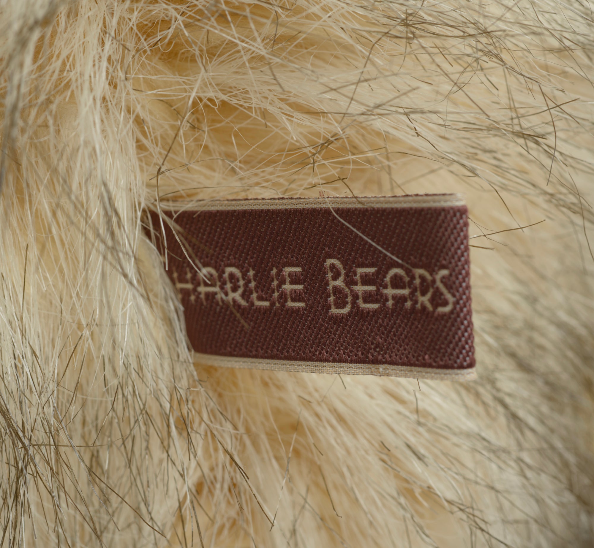 Charlie Bears Dorian - Isabelle Collection - three-quarter view showing full shaggy coat texture and brown organza ribbon bow