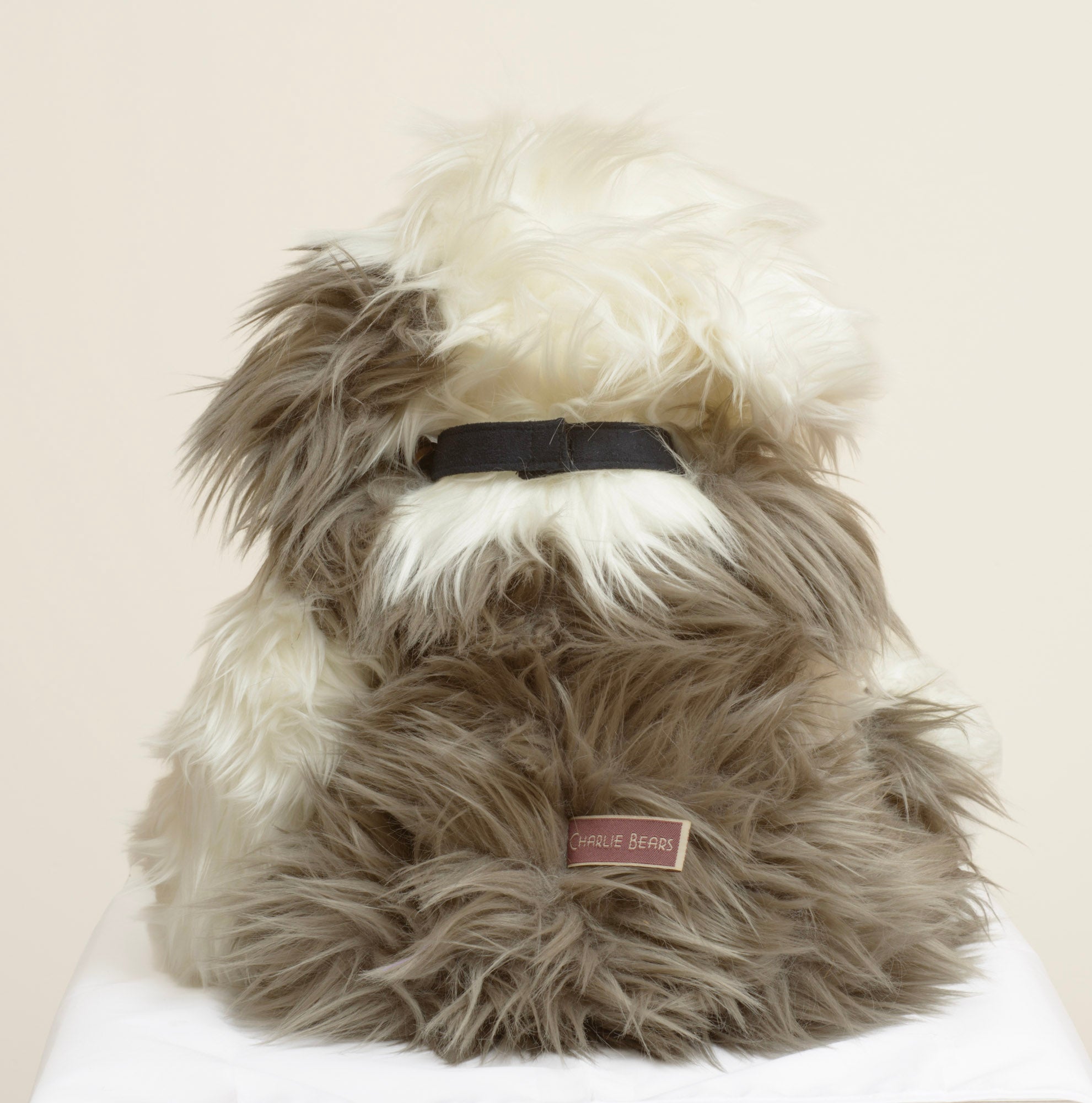 Charlie Bears Plush Campbell - Isabelle Collection - CB631492 - C3029