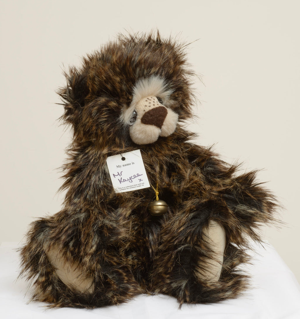 Mr Kaycee is a long dark tipped plush bear from Kaycee Bears, designed and created by Kelsey Cunningham in England, with a full cream muzzle panel and a scattering of dark freckle stitches across the upper muzzle, wearing an elasticated gold coloured cord necklace with a single aged gold bell.