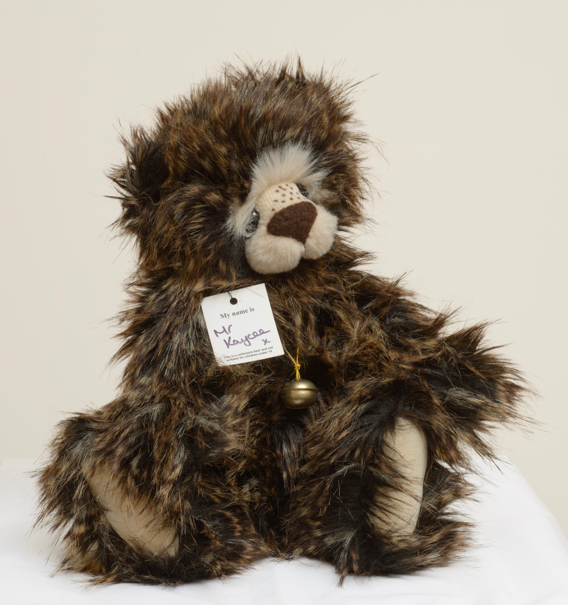 Mr Kaycee is a long dark tipped plush bear from Kaycee Bears, designed and created by Kelsey Cunningham in England, with a full cream muzzle panel and a scattering of dark freckle stitches across the upper muzzle, wearing an elasticated gold coloured cord necklace with a single aged gold bell.