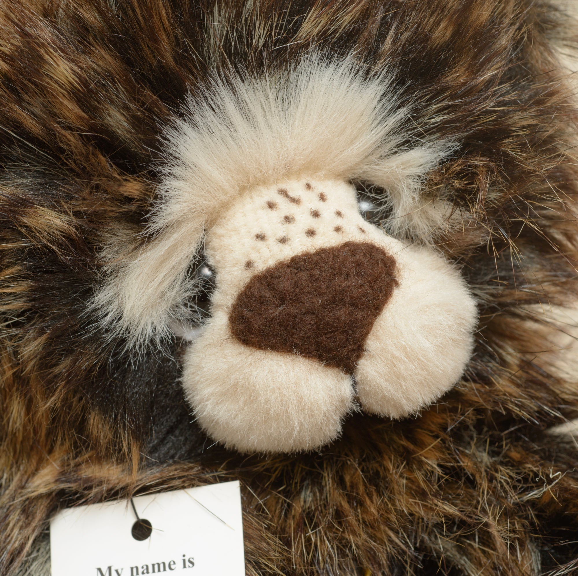 Mr Kaycee is a long dark tipped plush bear from Kaycee Bears, designed and created by Kelsey Cunningham in England, with a full cream muzzle panel and a scattering of dark freckle stitches across the upper muzzle, wearing an elasticated gold coloured cord necklace with a single aged gold bell.