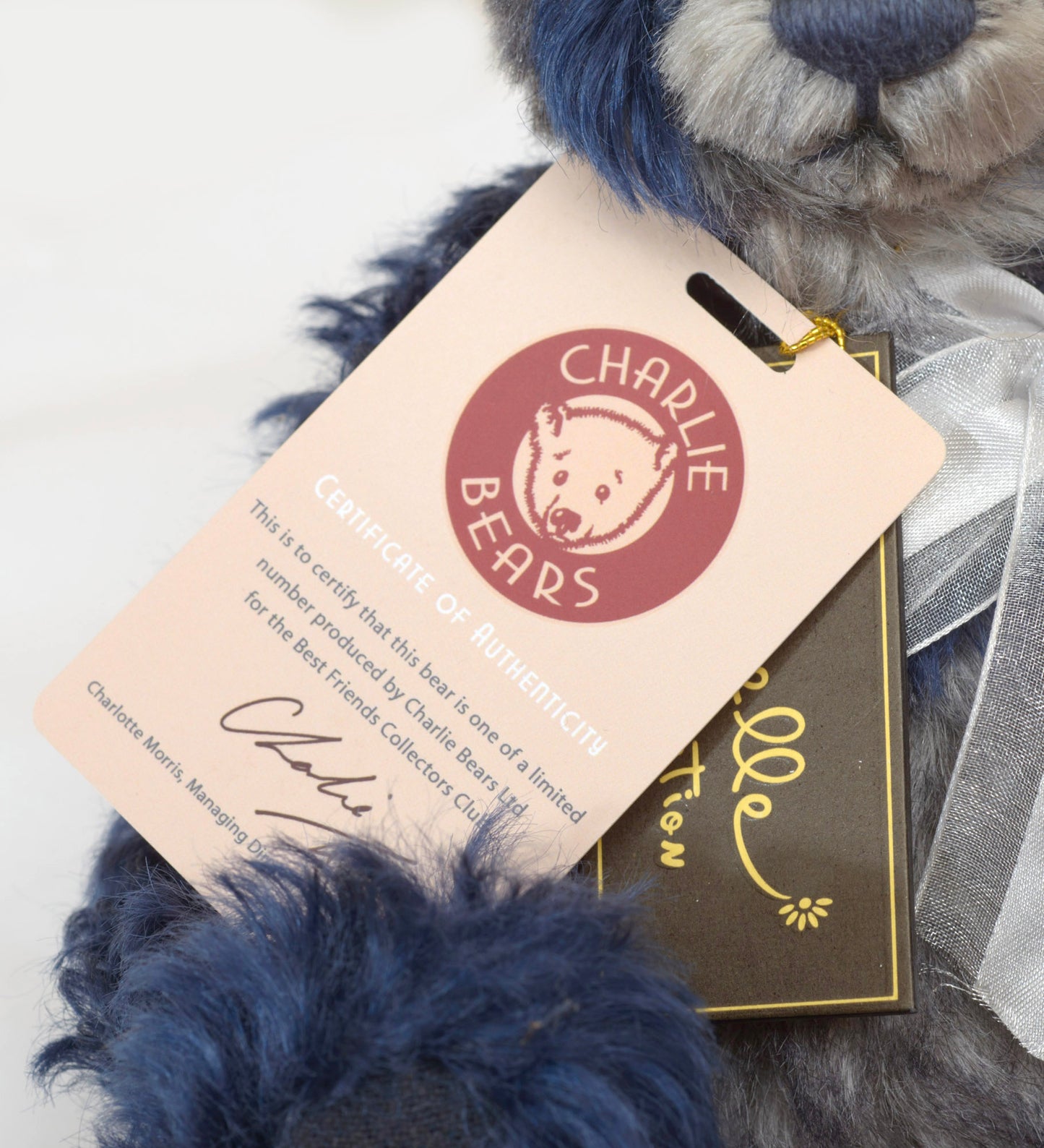 Charlie Bears Mr Little SJ5903 Limited Edition Isabelle Collection 2018 ( SJ5903 )