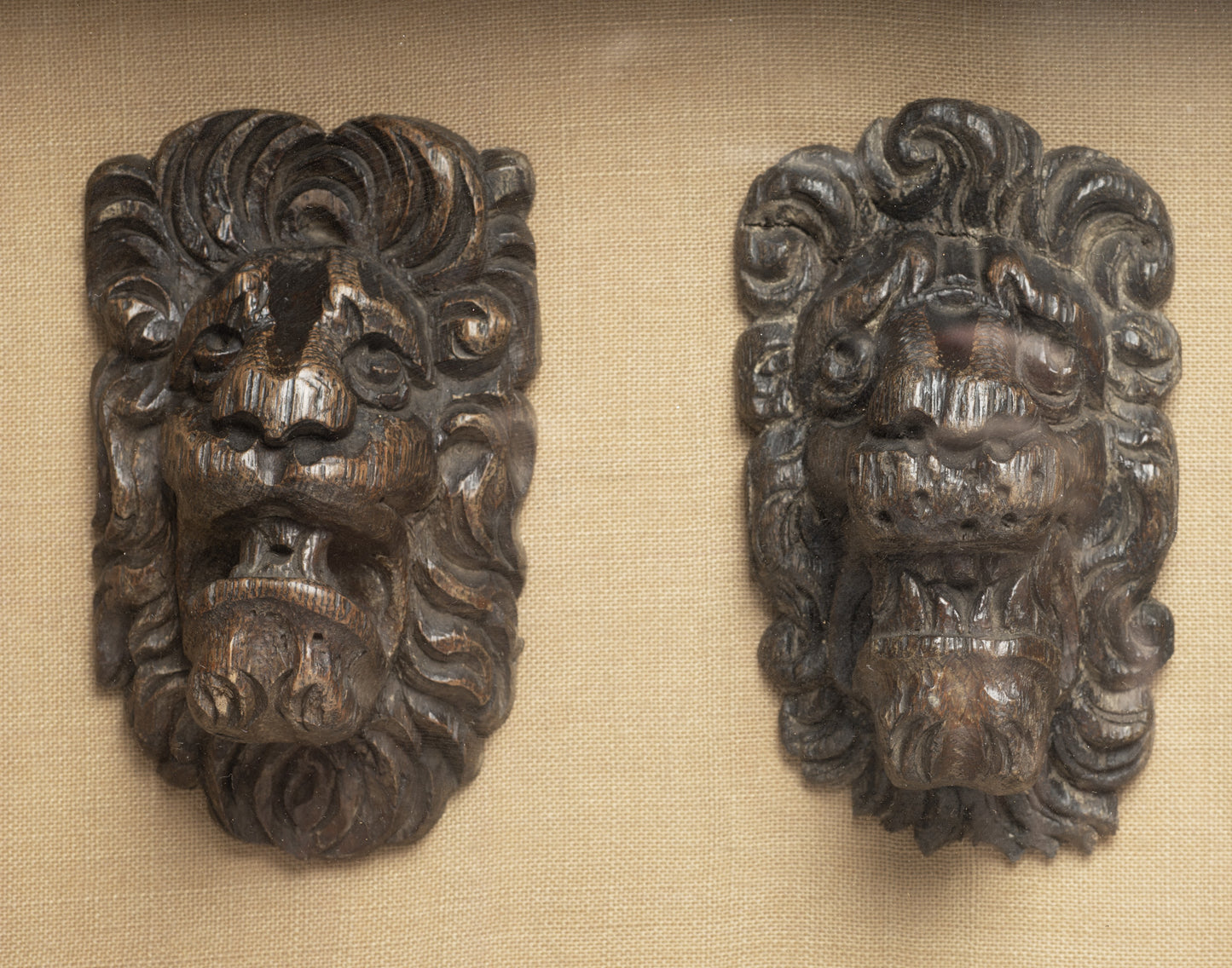 Two Antique Carved Lion Mask Heads 17th/18th Century in Glass Fronted Case (Code 2757)