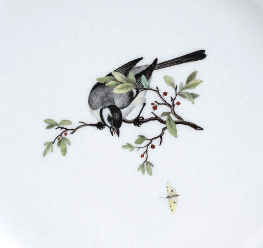 Antique KPM Berlin Porcelain Plate Hand Painted with Ornithological Pied Bird (2934)